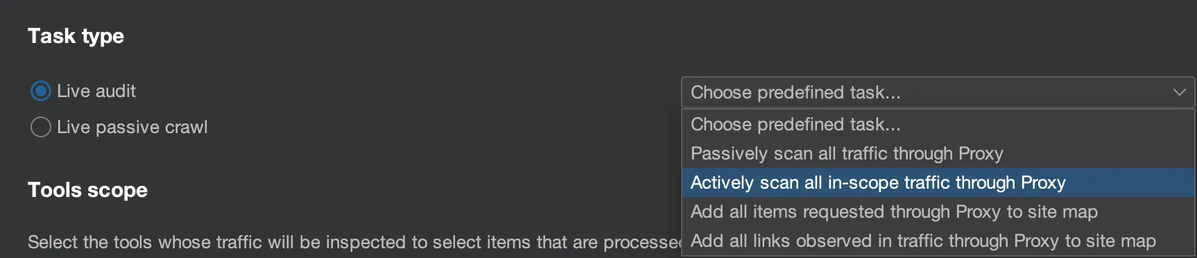 Burp Suite active scan