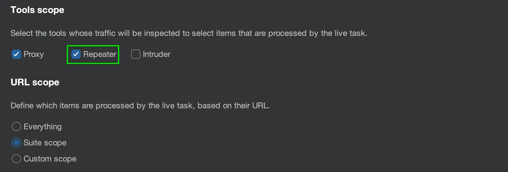 Burp Suite active scan tool scope