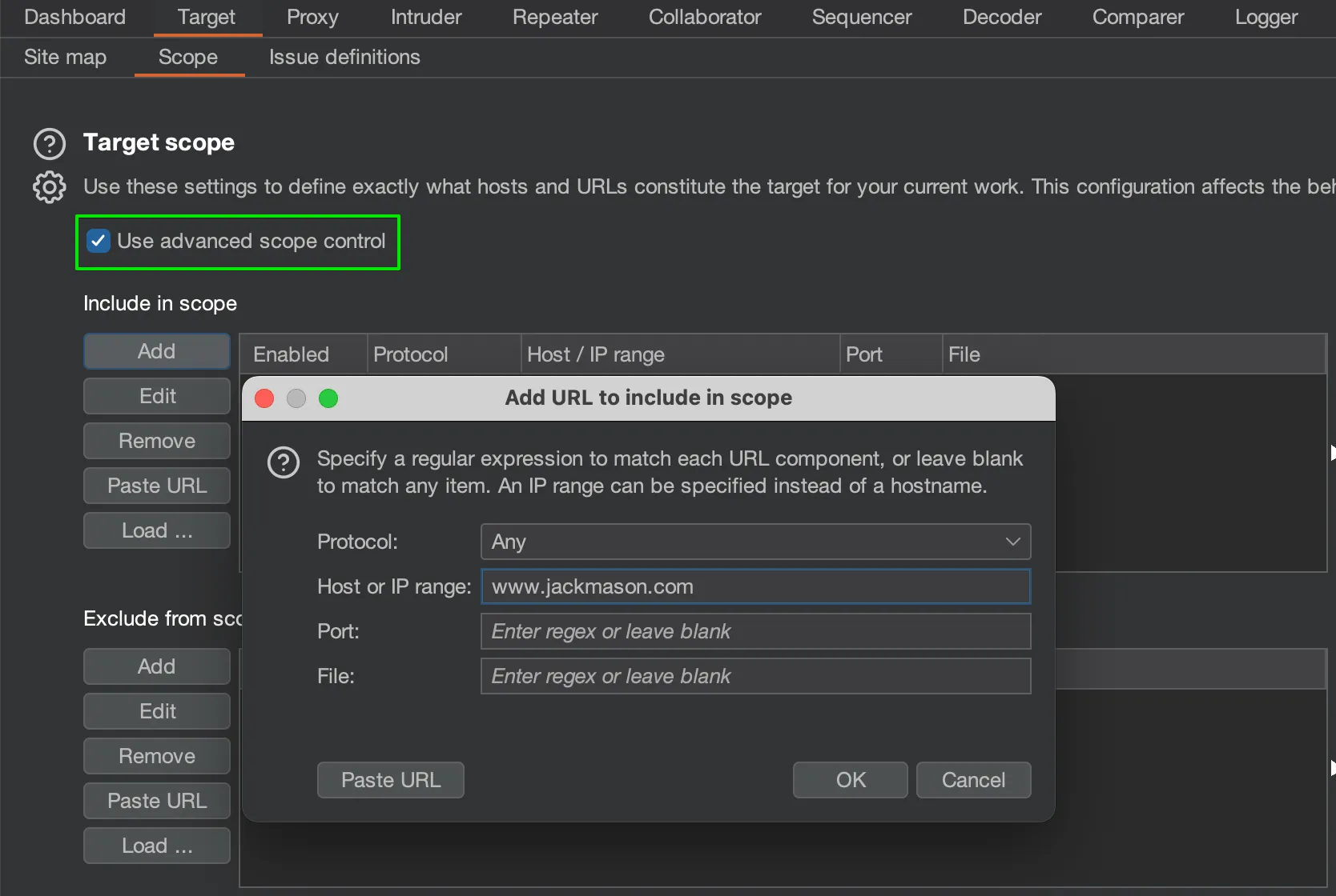 Burp Suite advanced scope control